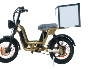 African BushBike DELIVERY BOX