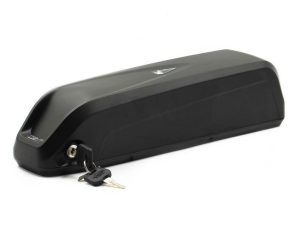 African BushBike Battery (48v, 20Ah Samsung)